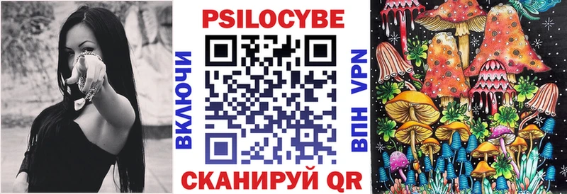 как найти наркотики  Бологое  Галлюциногенные грибы мицелий 
